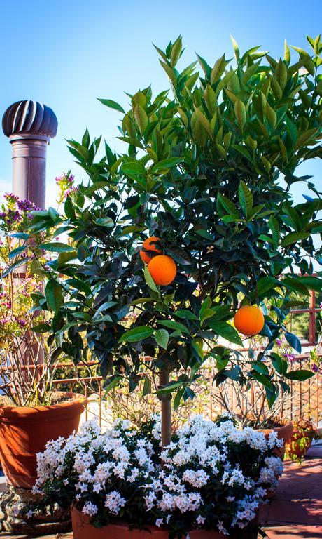 Hotel Palagi Pietrasanta Εξωτερικό φωτογραφία